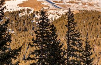 Cozy Cabin Perched on the Mountainside - Alpine Haus - Foto 4