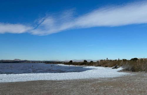 Sol de mar, La Mata (Hiszpania) - Foto 43