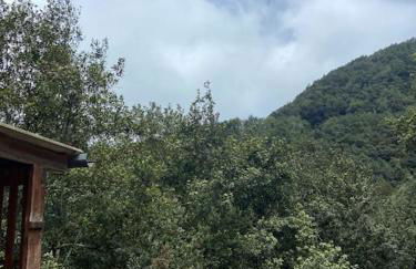 Refugio Luz de vida Anaga - Foto 10