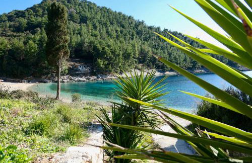 MT Seafront Residence - Foto 11