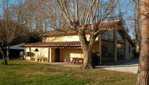 Fattoria di Migliarino - Foto 4