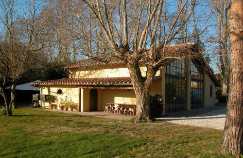 Fattoria di Migliarino - Foto 4