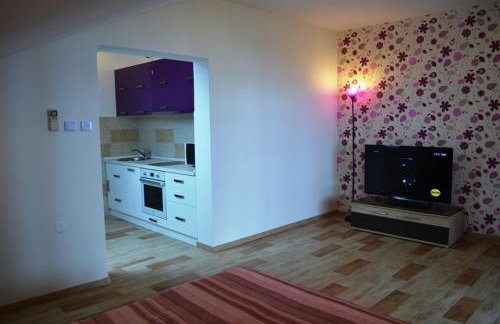 Apartments Smokvica I - Foto 21