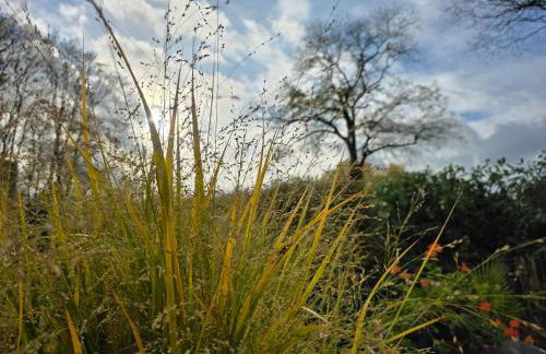 Ferienwohnung Haltepunkt, 25667 - Foto 22