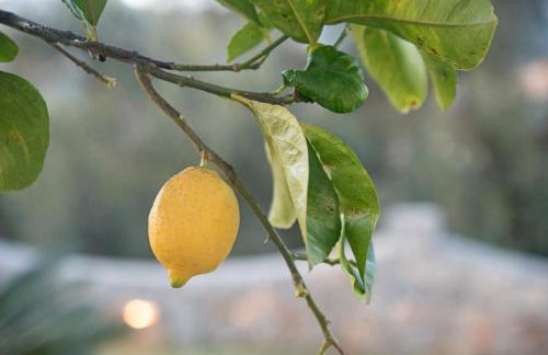 Carpe Diem Suite - Foto 49