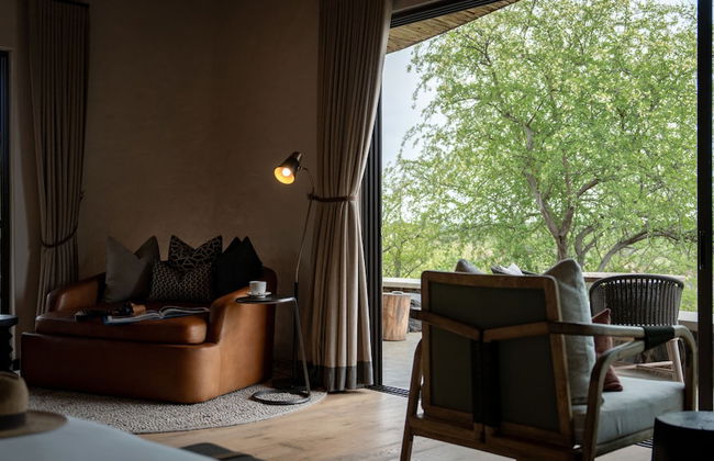 Euphorbia Mashatu - Foto 6