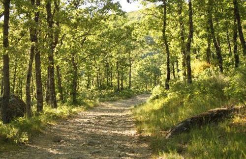 El Descanso de Sanabria - Foto 23