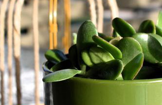 Galazio suites 2 - Foto 34