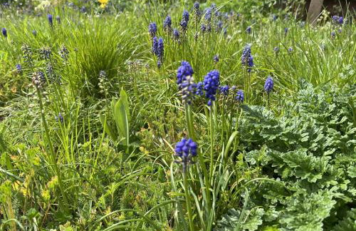 Spacious 3BR Home in Leighton Buzzard Parking Sleeps 5 Walk to Town & Train Near Rushmere Country Park & Leighton Buzzard Railway Perfect for Families & Work Stays - Foto 33