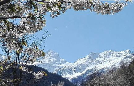 Le Petit Coq - Ampio e luminoso appartamento con vista - Foto 30