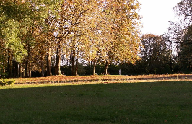 Château de la Court d'Aron - Foto 38