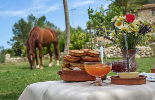 Masia Pou de la Vinya - Photo 6