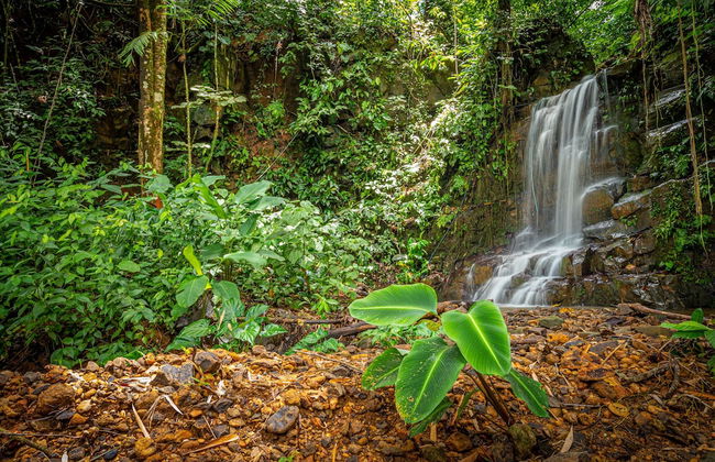 Colinas Tinamastes - Foto 54