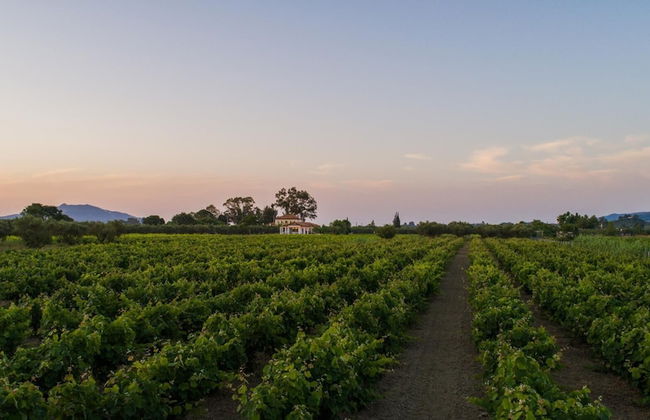 Aneli Villas - Villa Elissavet - Foto 10