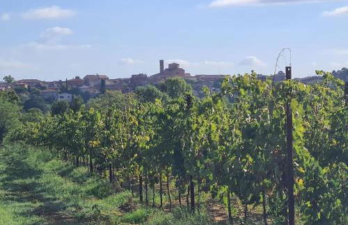 Montepulciano - La Casetta del Pian delle Noci - Foto 43