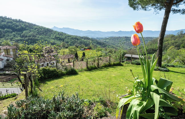 Casa Dell'Alfiere - Photo 28