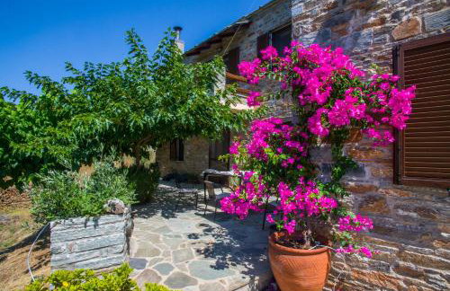 Iris' Traditional Stone House - Foto 25