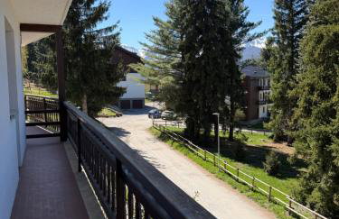 Le Grange Apartments - Direct Ski Access - Foto 28