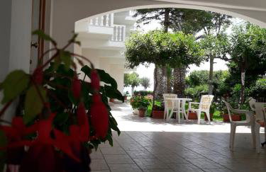 Posidonia Pension - Photo 11