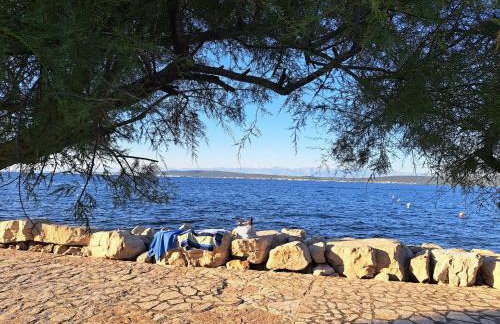 Villa Banjka - Foto 57