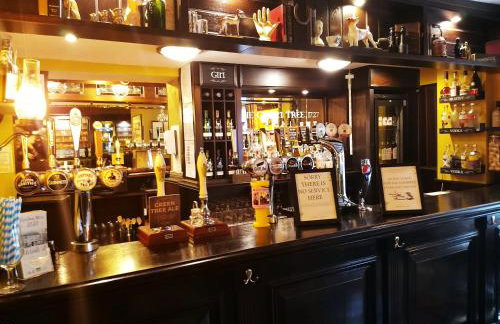 The Tree House - Foto 3