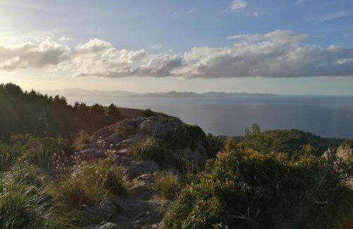 Meervilla Mallorca - Charmantes Ferienhaus mit phantastischem Meerblick in Canyamel - Photo 35