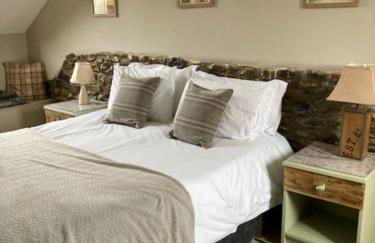 Mwsogl - Luxurious Family Fishing Lodge Near Aberaeron With Private Fishing - Photo 20