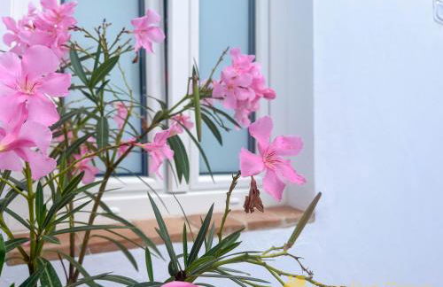 Casa Arbonaida - Foto 22