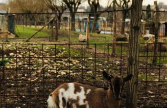 Agriturismo La Montina - Foto 46