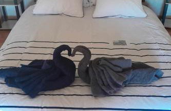 Gîte de La Guinchère - Photo 12