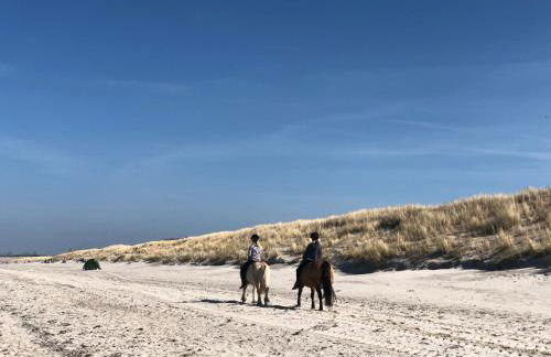 Amare Dierhagen - Foto 9