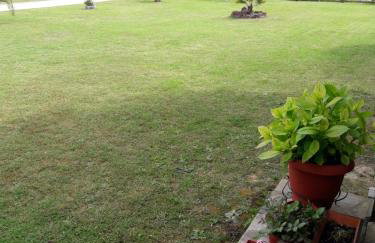 Konaki Guesthouse - Photo 33