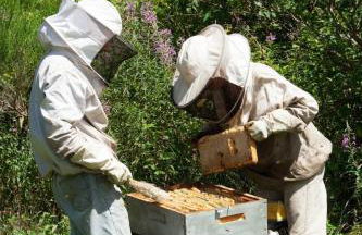 Authentique Maison Normande de village - Foto 47