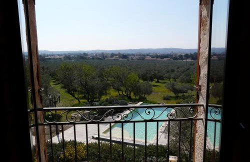 luxury mas with private infinity pool in the heart of the alpilles, 10 persons - Foto 41