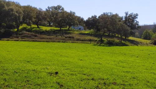 Cercado Forero - Foto 2, Garden