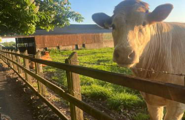 Campbell's Cottage - Foto 35