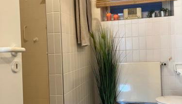 Privatwohnung mit Terrasse zum Relaxen - Foto 3, Shower