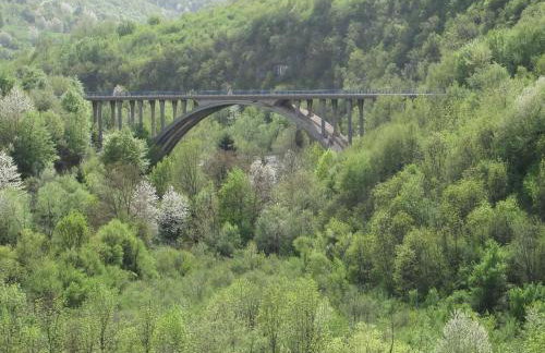 Apartments Nena - Foto 29