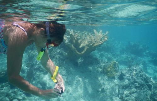 Florida Home with private heated Pool, close to Siesta Key Beach - Foto 36