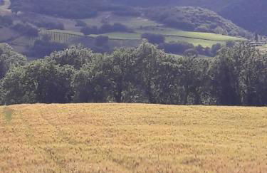 Agriturismo San Pietro - Foto 5