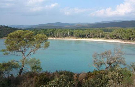 Studio à 50 m de la plage et du sentier littoral - Foto 14