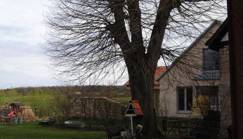 Ferienhaus Lindenhof - Foto 5, Garden, Garden view