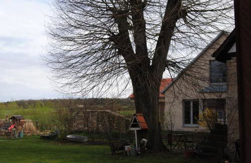 Ferienhaus Lindenhof - Foto 5