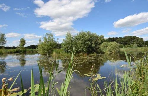 1 Bed in Norwich oc-76493 - Foto 15