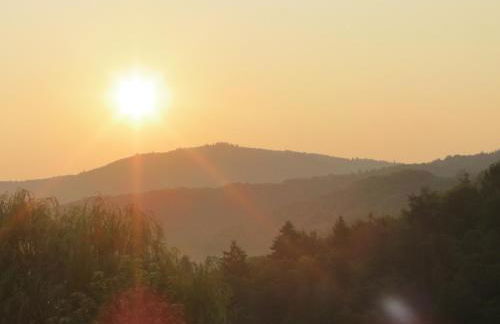 Villa Waldallee - Ferienwohnung (holidayhome) 84qm - Foto 34