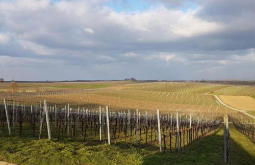 Pension Sonnenberg Comfortable holiday residence - Foto 43