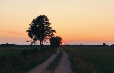 Sosnówka - dom wypoczynkowy na Kurpiach - Foto 18