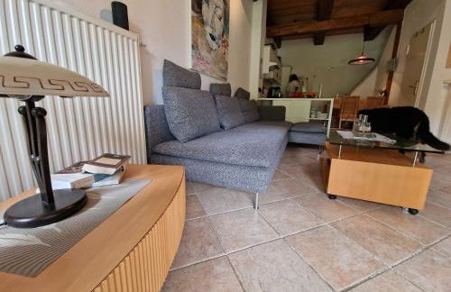 Am alten Gutshaus Losentitz - Foto 5