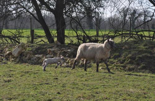 Manoir du Bois Joly - Gîte du Fournil - Foto 55