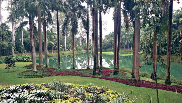 Excursión al Instituto Inhotim - Foto 2, Pasaremos por bucólicos jardines